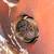 EFE Home Services LLC 19 thumbnail