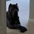 Cane Corso 2 thumbnail