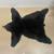Beer rug, deer head, shoulder mounts walleye mount in turkey mount 1 thumbnail