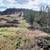 240 acre ranch 3 thumbnail