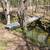 Arkansas  Ozarks 9 thumbnail