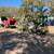 Tree Service in Sarasota looking for skilled ground person 4 thumbnail