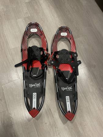 Snow Shoes 1