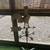 Rooster Weather Vane 1 thumbnail