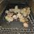 Indio Gigante chicks 2 thumbnail