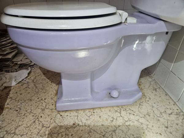 VTG Reem lavender toilet and sink 1