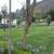 Beautiful Apt. Exclusive Condo. $1,400.0 Antigua G. 12 thumbnail