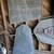 YARD DECOR FLOWER PLANTERS etc 6 thumbnail