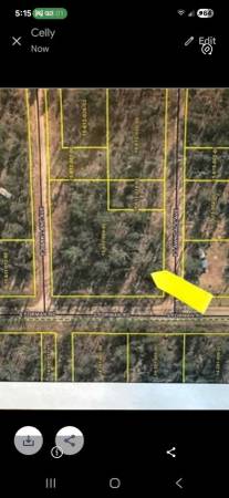 $14,000 14 Wooded Lots in Idlewild. Nearly 1 Acre w/ Road Frontage!63985940844547120