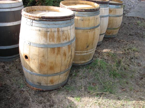 wine barrels 1