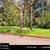 Discover the potential of this expansive 2+ acre lot 4 thumbnail