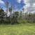 🔴 Must Sell Now🔴 1.05 Acres in Orlando - By Owner 2 thumbnail