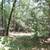 10.82 Acres in the Sierras - Seller Financing 7 thumbnail