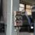 2019 Chevrolet Express 4500 21 Passenger Bus with Wheelchair Lift 13 thumbnail