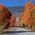Best location in Manchester for Ski Season. Stay longer & Save! 21 thumbnail