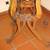 Antique Oak Highchair & Rocker Circa Early 1900's 11 thumbnail