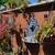 9 Yehoshua Ben Nun Street 6 thumbnail