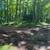 300 Feet of Frontage on Pardee Lake 5 thumbnail