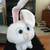 snowball rabbit plush 2 thumbnail