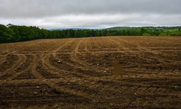 Need M-2 or M-1 light or heavy industrial cleared land 1