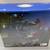 Spider-Man 2 PS5 Limited Edition Disc Console – Factory Sealed Collec 4 thumbnail
