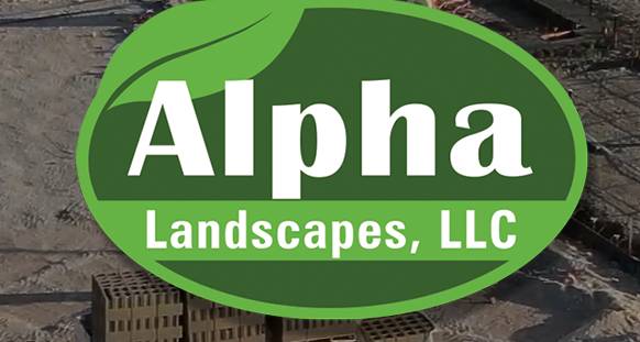 Need to get your yard Clean?? 1