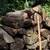 Firewood 3 thumbnail