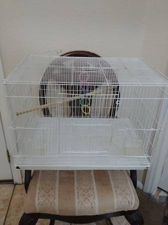 Large bird cage 1