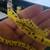 Juvenile Green Tree Python w/ Setup 4 thumbnail