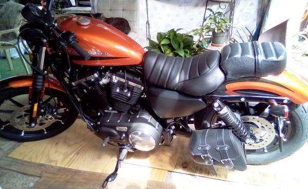 2021 Harley Davidson 883 iron lx (Hobe Sound)63832903155713124