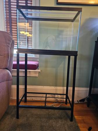 Acuario de 20 galones, soporte metálico, tapa de vidrio   $60 (Tatnuck)