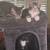 Dog Friendly Kittens 7 thumbnail