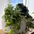 Large indoor tree planter 6 thumbnail