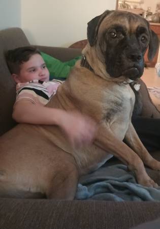Free to good home (Painesville)63686622769923120