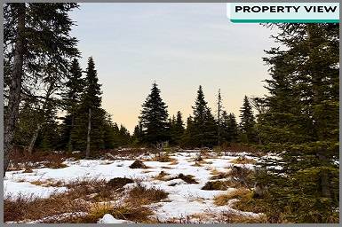 Stunning Lot 8.59 Acres in Clam Gulch! 1