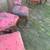 Dining room chairs/ Cherry Wood / Antique finish 2 thumbnail