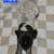 German Short-haired Pointer 15 thumbnail