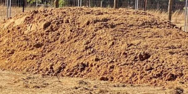 Fresh Brewery Grains 1