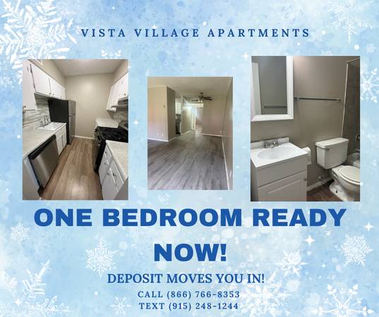 ONE BEDROOM IMMEDIATE MOVE IN!! NO PRO-RATED RENT FOR DECEMBER 1