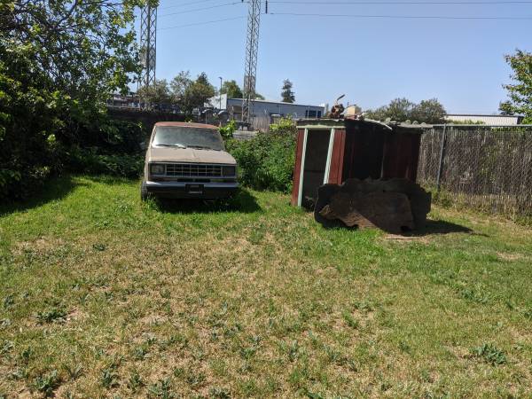 Affordable Landscaping, Debris Removal 1