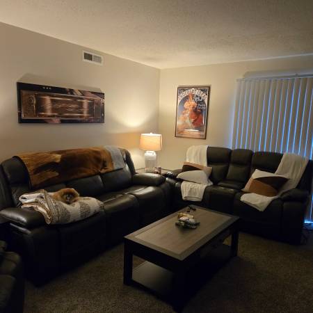 Leather power furniture 1