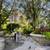 GREAT PRICE! MODERN LARGE 1BED  CONDO 20 thumbnail