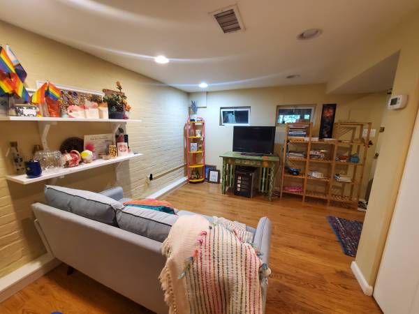 $1,200 / 2br - Room in English Basement (Mount Pleasant)63821978285569124