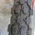 1969 CRUISER HUFFY MADE IN DAYTON OHIO 56 YEARS OLD 5 thumbnail