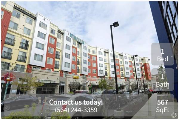 Wonderful 567 sqft, 1 bed, 1 bath floorplan in Seattle 1