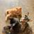 Kittens 3 thumbnail
