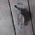 Antique Medium Sized Wood Pulley 4 thumbnail