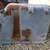 1967-72 Ford pickup under bed tool box compartment insert 5 thumbnail