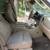2004 Ford Expedition Eddie Bauer 5 thumbnail