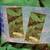 2 Pack Youth Beach Towels - Brand New 5 thumbnail